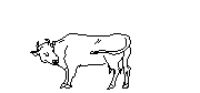 cow2d