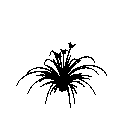3D_Flower_-_Lilly_1