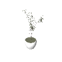 3D_Potted Plant_9