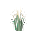 3d_decorative_grass