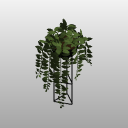 Blks_Veg_Botanical Ivy Support