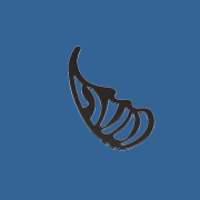 butterfly3