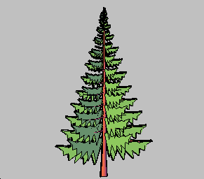 SPRUCE