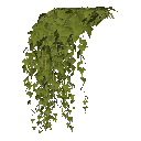 Scalable_Hangin_Plant_2