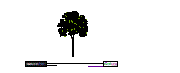 01_Trees_Elevation_Colour_Tree01
