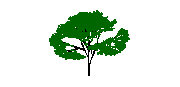 albero_3D_1