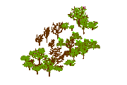 Assorted Arboles 3D