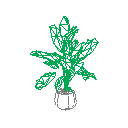 interior_flower_plant-4