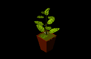 plant-3D