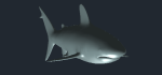 WhiteShark.dwg