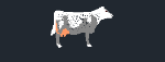 cow.dwg