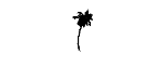 coconut_tree_2.dwg