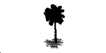 191_-_Palm_Tree.dwg