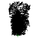 2D_stromy_pohled.rfa