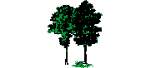 Landscaping-Trees-Fm.dwg