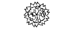 ORNAMENT_1.dwg