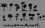 Palms.dwg