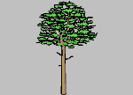 Tree2D3D.DWG