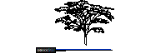 Trees_Elevation_Tree1.dwg