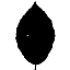 Pihlaste se pro zobrazen pln verze - 53766/Leaf02_cb.png